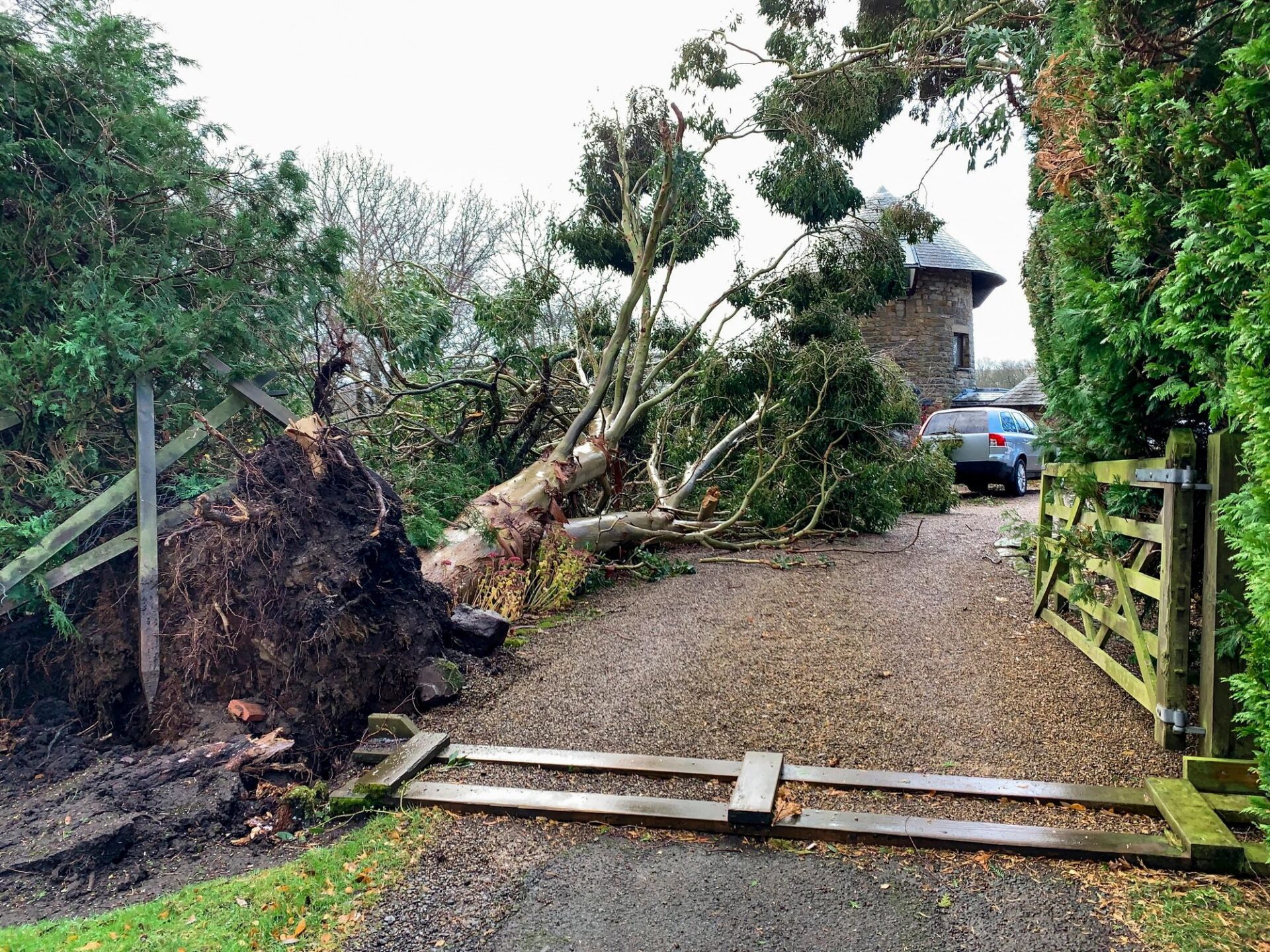Storm damage near a home after severe weather